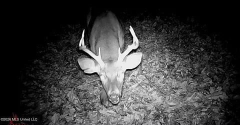 590 County Road 247, Bruce, MS 38915 photo 32