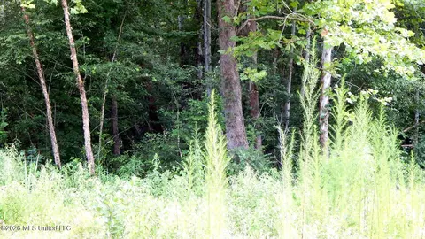 590 County Road 247, Bruce, MS 38915 photo 8