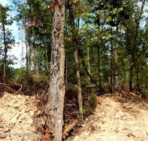 590 County Road 247, Bruce, MS 38915 photo 16