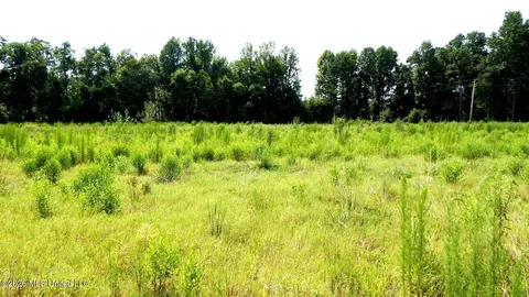 590 County Road 247, Bruce, MS 38915 photo 3