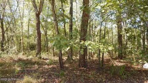 590 County Road 247, Bruce, MS 38915 photo 46