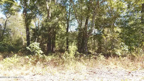 590 County Road 247, Bruce, MS 38915 photo 49