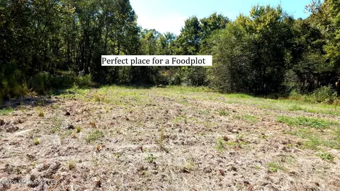 590 County Road 247, Bruce, MS 38915 photo 10