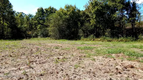 590 County Road 247, Bruce, MS 38915 photo 47