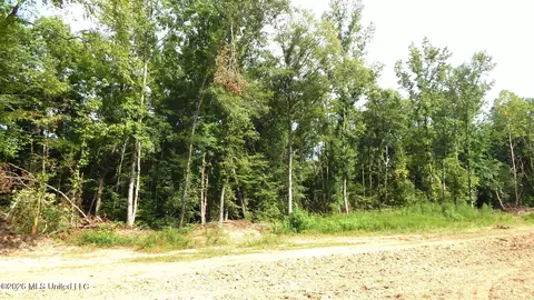590 County Road 247, Bruce, MS 38915 photo 22