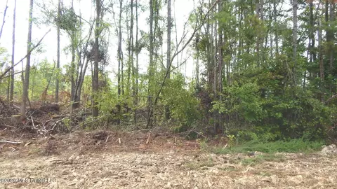 590 County Road 247, Bruce, MS 38915 photo 13