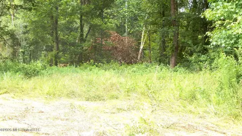 590 County Road 247, Bruce, MS 38915 photo 9