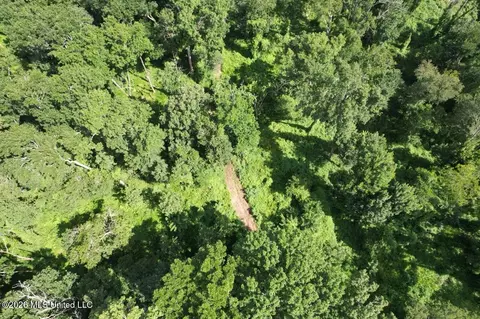 2530 Cat Island Rd, Saint Francisville, LA 70775