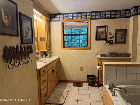 Bath - 64 Greer Rd, Jayess, MS 39641 photo 4 of 4