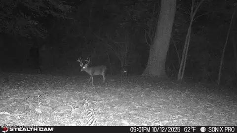 Other - 64 Greer Rd, Jayess, MS 39641 photo 17 of 20