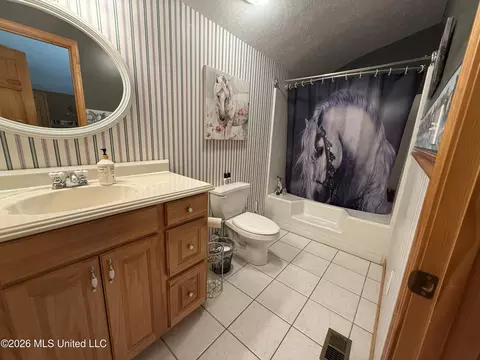 Bath - 64 Greer Rd, Jayess, MS 39641 photo 2 of 4