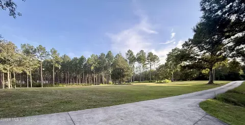 Exterior - 64 Greer Rd, Jayess, MS 39641 photo 13 of 16