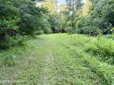 Other - 64 Greer Rd, Jayess, MS 39641 photo 14 of 20