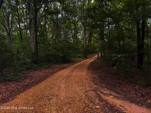 3579 Bett Rd, Coldwater, MS 38618 photo 2