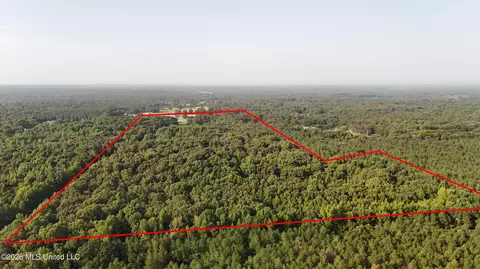 3579 Bett Rd, Coldwater, MS 38618 photo 4