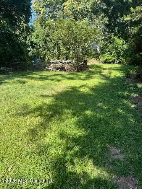 407 Cherry St, Natchez, MS 39120 photo 2