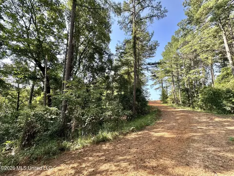 Highway 43, Ethel, MS 39067