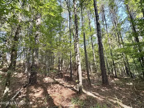 Highway 43, Ethel, MS 39067 photo 5