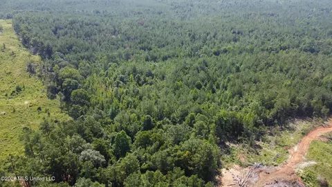 Highway 43, Ethel, MS 39067 photo 7