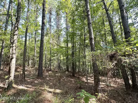 Highway 43, Ethel, MS 39067 photo 4