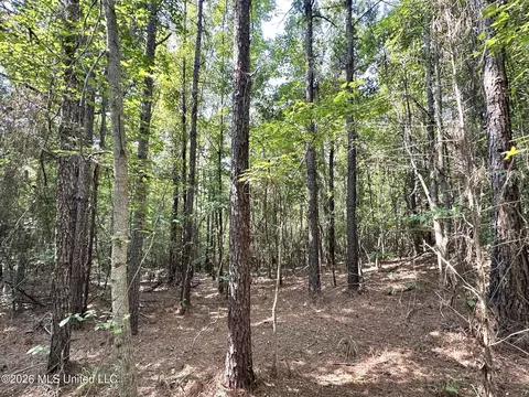 Highway 43, Ethel, MS 39067 photo 3