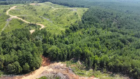 Highway 43, Ethel, MS 39067 photo 8