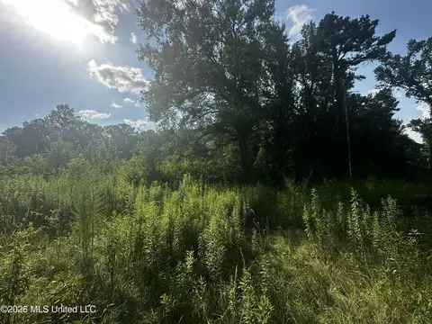 Other - 137 Shorter Rd, Braxton, MS 39044 photo 7 of 12