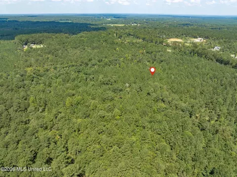 20 Acres Hwy 589, Sumrall, MS 39482 photo 16