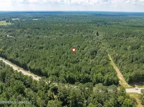 20 Acres Hwy 589, Sumrall, MS 39482 photo 10