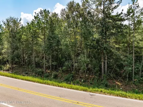 20 Acres Hwy 589, Sumrall, MS 39482 photo 5