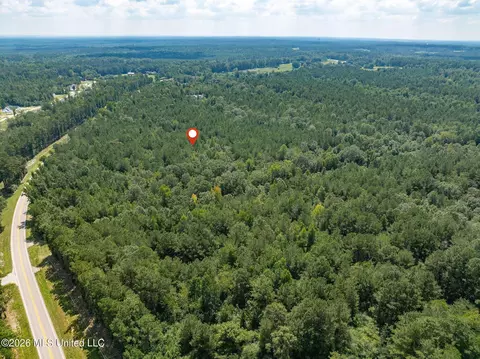 20 Acres Hwy 589, Sumrall, MS 39482 photo 12