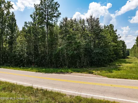20 Acres Hwy 589, Sumrall, MS 39482 photo 4