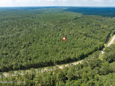 20 Acres Hwy 589, Sumrall, MS 39482 photo 17