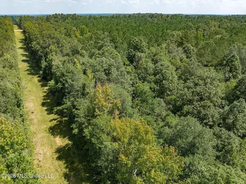 20 Acres Hwy 589, Sumrall, MS 39482 photo 7