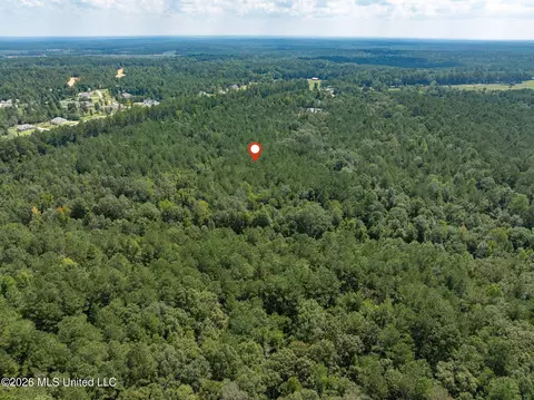 20 Acres Hwy 589, Sumrall, MS 39482 photo 13