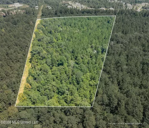 20 Acres Hwy 589, Sumrall, MS 39482 photo 2