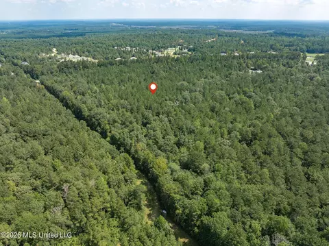 20 Acres Hwy 589, Sumrall, MS 39482 photo 14