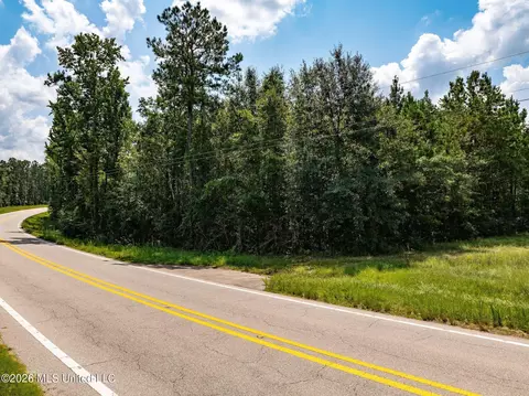 20 Acres Hwy 589, Sumrall, MS 39482 photo 3
