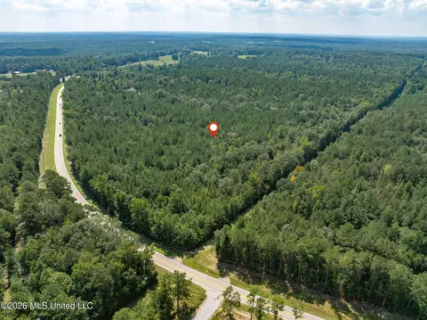 20 Acres Hwy 589, Sumrall, MS 39482 photo 11