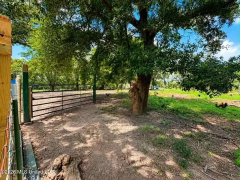 Other - 2125 Fig Farm Rd, Lucedale, MS 39452 photo 11 of 20