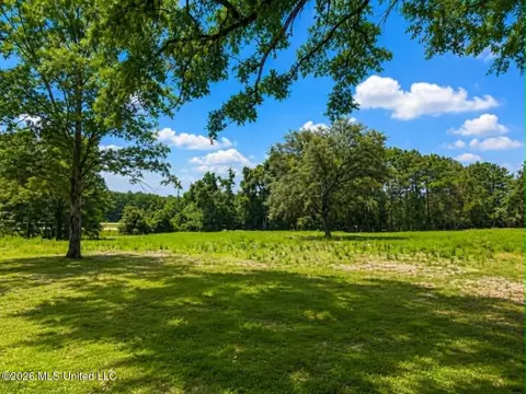 Other - 2125 Fig Farm Rd, Lucedale, MS 39452 photo 15 of 20