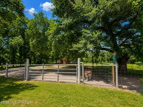 Other - 2125 Fig Farm Rd, Lucedale, MS 39452 photo 14 of 20