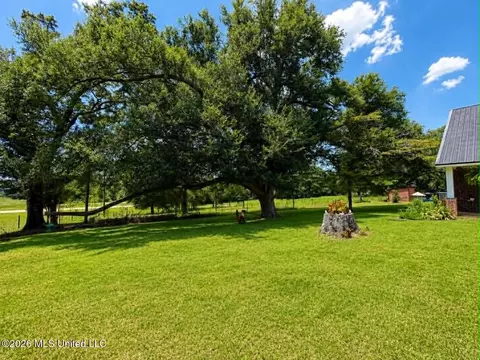 Exterior - 2125 Fig Farm Rd, Lucedale, MS 39452 photo 15 of 23