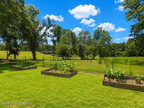 Exterior - 2125 Fig Farm Rd, Lucedale, MS 39452 photo 13 of 23