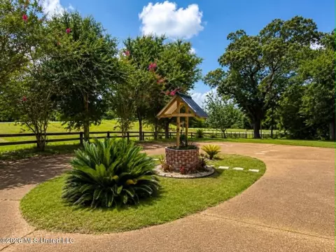 Exterior - 2125 Fig Farm Rd, Lucedale, MS 39452 photo 12 of 23