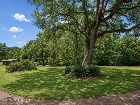 Exterior - 2125 Fig Farm Rd, Lucedale, MS 39452 photo 16 of 23