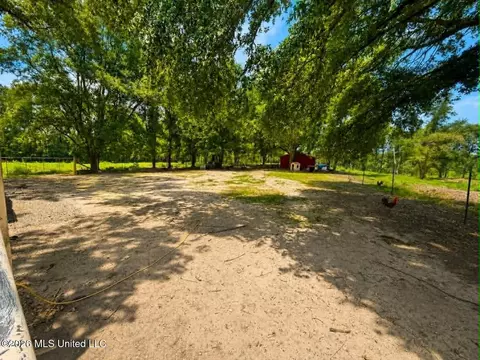 Exterior - 2125 Fig Farm Rd, Lucedale, MS 39452 photo 18 of 23