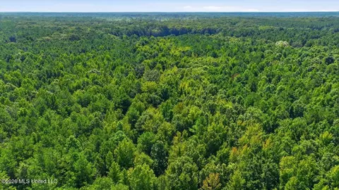 077 Potluck Rd, Canton, MS 39046 photo 8