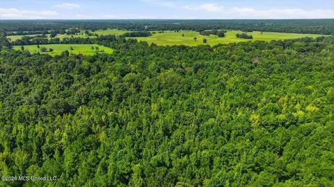 077 Potluck Rd, Canton, MS 39046 photo 10
