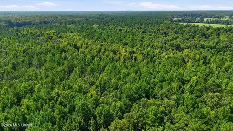077 Potluck Rd, Canton, MS 39046 photo 11